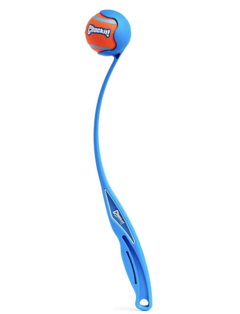 dog toy